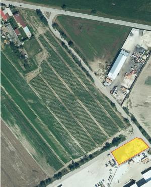 dvor
